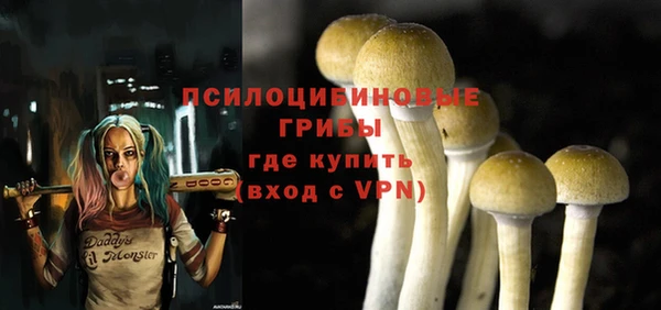 PSILOCYBIN Армянск