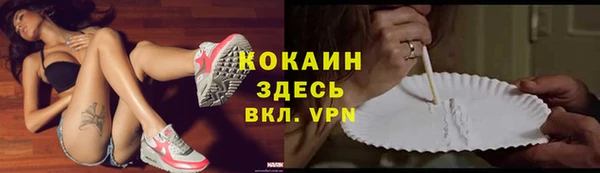 PSILOCYBIN Армянск