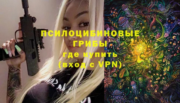 PSILOCYBIN Армянск