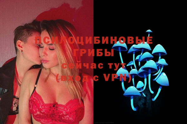 PSILOCYBIN Армянск