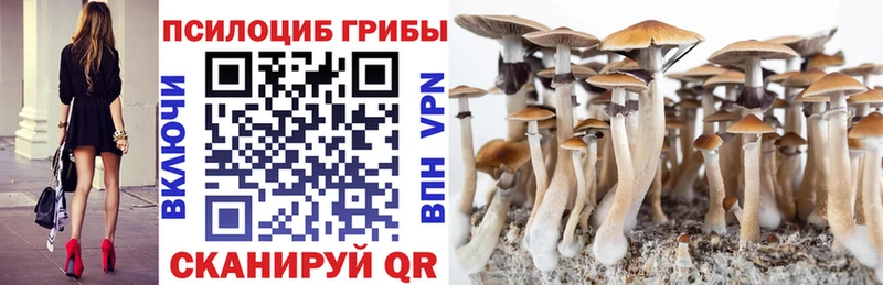 Псилоцибиновые грибы ЛСД Шацк